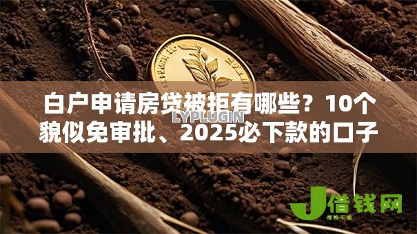 白户申请房贷被拒有哪些？10个貌似免审批、2025必下款的口子合集