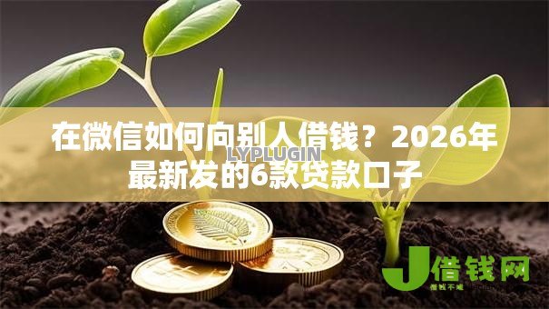 在微信如何向别人借钱？2026年最新发的6款贷款口子
