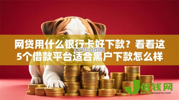 网贷用什么银行卡好下款？看看这5个借款平台适合黑户下款怎么样