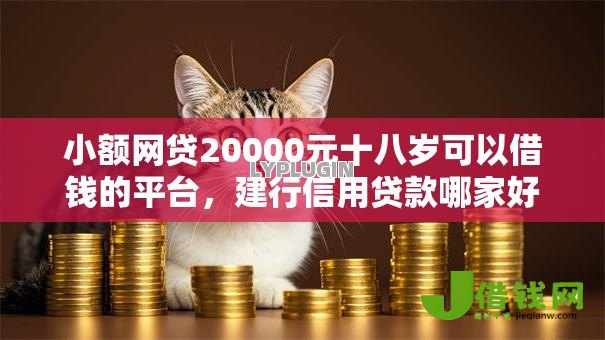 小额网贷20000元十八岁可以借钱的平台,建行信用贷款哪家好下款的5个平台介绍 小额网贷20000元十八岁可以借钱的平台,建行信用贷款哪家好下款的5个平台介绍