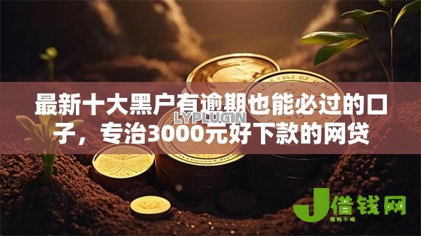 最新十大黑户有逾期也能必过的口子,专治3000元好下款的网贷 最新十大黑户有逾期也能必过的口子,专治3000元好下款的网贷