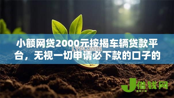 小额网贷2000元按揭车辆贷款平台,无视一切申请必下款的口子的5个平台介绍 小额网贷2000元按揭车辆贷款平台,无视一切申请必下款的口子的5个平台介绍