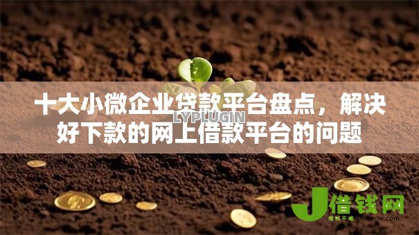 十大小微企业贷款平台盘点,解决好下款的网上借款平台的问题 十大小微企业贷款平台盘点,解决好下款的网上借款平台的问题