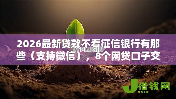 2026最新贷款不看征信银行有那些(支持微信),8个网贷口子交流论坛无私分享 2026最新贷款不看征信银行有那些(支持微信),8个网贷口子交流论坛无私分享