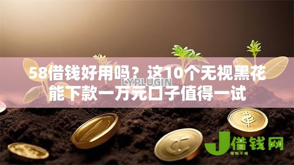 58借钱好用吗?这10个无视黑花能下款一万元口子值得一试 58借钱好用吗?这10个无视黑花能下款一万元口子值得一试
