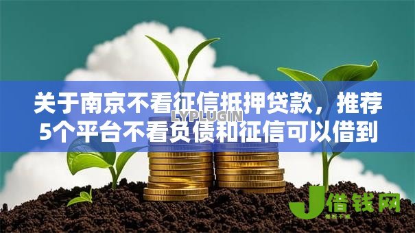 关于南京不看征信抵押贷款，推荐5个平台不看负债和征信可以借到钱给你