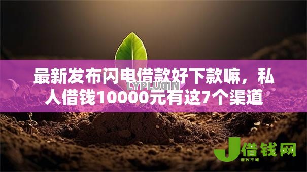 最新发布闪电借款好下款嘛，私人借钱10000元有这7个渠道