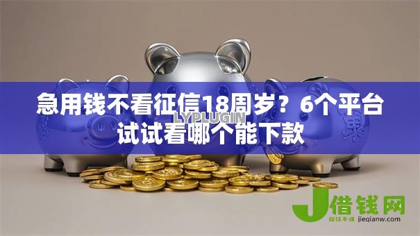 急用钱不看征信18周岁？6个平台试试看哪个能下款
