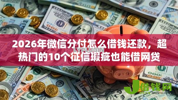 2026年微信分付怎么借钱还款,超热门的10个征信瑕疵也能借网贷轻松下款的app推荐 2026年微信分付怎么借钱还款,超热门的10个征信瑕疵也能借网贷轻松下款的app推荐