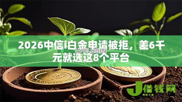 2026中信i白金申请被拒,差6千元就选这8个平台 2026中信i白金申请被拒,差6千元就选这8个平台