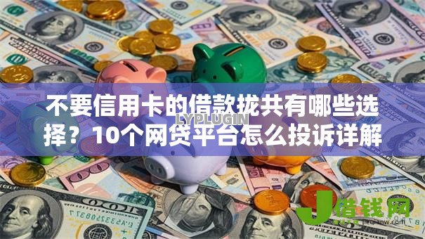 不要信用卡的借款拢共有哪些选择?10个网贷平台怎么投诉详解 不要信用卡的借款拢共有哪些选择?10个网贷平台怎么投诉详解