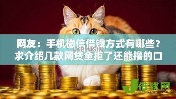 网友:手机微信借钱方式有哪些?求介绍几款网贷全拒了还能撸的口子 网友:手机微信借钱方式有哪些?求介绍几款网贷全拒了还能撸的口子