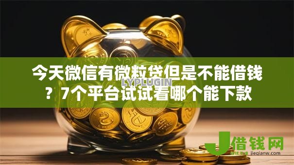 今天微信有微粒贷但是不能借钱?7个平台试试看哪个能下款 今天微信有微粒贷但是不能借钱?7个平台试试看哪个能下款