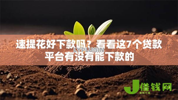 速提花好下款吗?看看这7个贷款平台有没有能下款的 速提花好下款吗?看看这7个贷款平台有没有能下款的