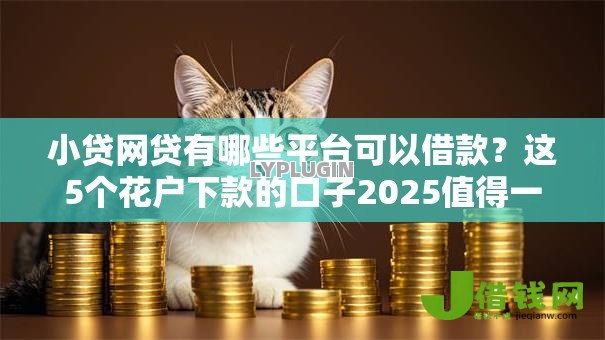 小贷网贷有哪些平台可以借款？这5个花户下款的口子2025值得一试