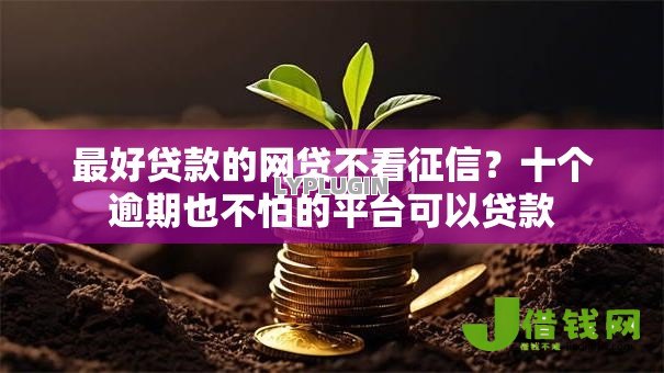 最好贷款的网贷不看征信?十个逾期也不怕的平台可以贷款 最好贷款的网贷不看征信?十个逾期也不怕的平台可以贷款