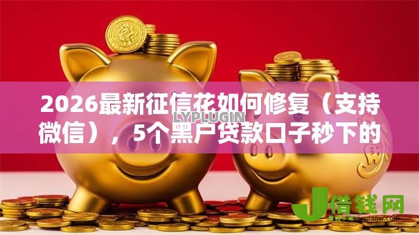 2026最新征信花如何修复(支持微信),5个黑户贷款口子秒下的无私分享 2026最新征信花如何修复(支持微信),5个黑户贷款口子秒下的无私分享