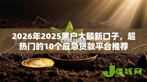 2026年2025黑户大额新口子,超热门的10个应急贷款平台推荐 2026年2025黑户大额新口子,超热门的10个应急贷款平台推荐