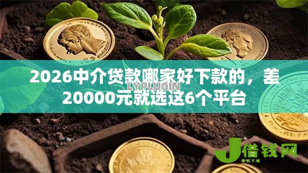 2026中介贷款哪家好下款的,差20000元就选这6个平台 2026中介贷款哪家好下款的,差20000元就选这6个平台