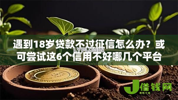 遇到18岁贷款不过征信怎么办?或可尝试这6个信用不好哪几个平台可以借钱 遇到18岁贷款不过征信怎么办?或可尝试这6个信用不好哪几个平台可以借钱