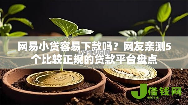 网易小贷容易下款吗？网友亲测5个比较正规的贷款平台盘点