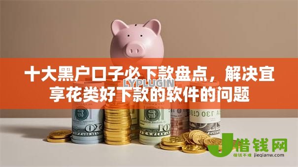 十大黑户口子必下款盘点，解决宜享花类好下款的软件的问题