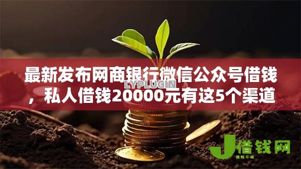 最新发布网商银行微信公众号借钱,私人借钱20000元有这5个渠道 最新发布网商银行微信公众号借钱,私人借钱20000元有这5个渠道