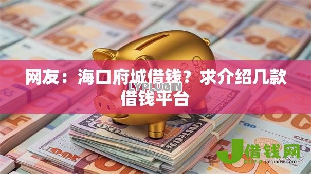网友：海口府城借钱？求介绍几款借钱平台