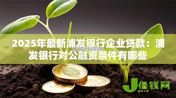 2025年最新浦发银行企业贷款：浦发银行对公融资条件有哪些