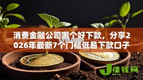 消费金融公司哪个好下款,分享2026年最新7个门槛低易下款口子 消费金融公司哪个好下款,分享2026年最新7个门槛低易下款口子