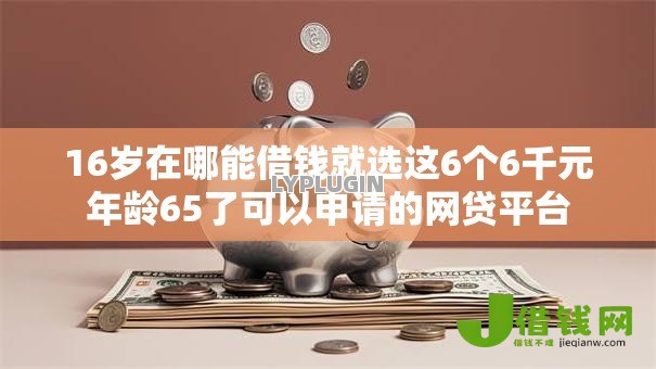 16岁在哪能借钱就选这6个6千元年龄65了可以申请的网贷平台