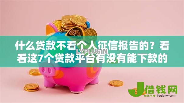 什么贷款不看个人征信报告的?看看这7个贷款平台有没有能下款的 什么贷款不看个人征信报告的?看看这7个贷款平台有没有能下款的
