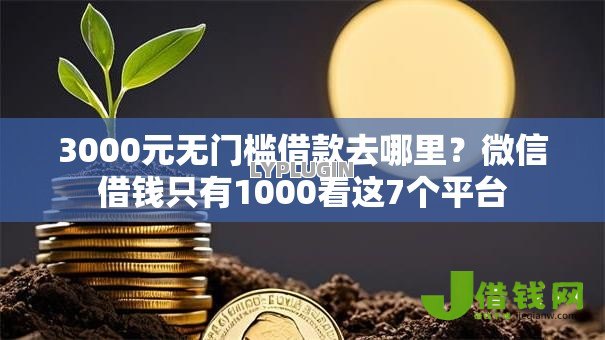 3000元无门槛借款去哪里？微信借钱只有1000看这7个平台