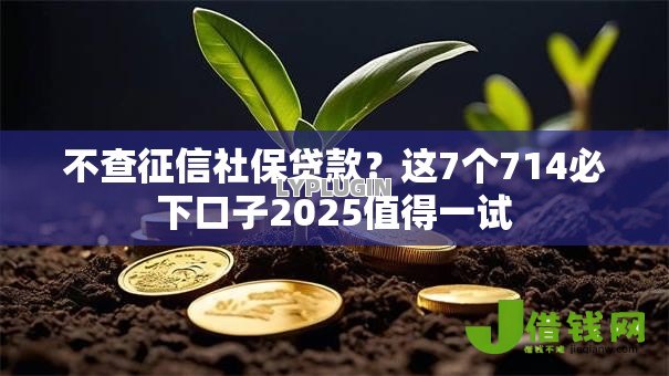 不查征信社保贷款?这7个714必下口子2025值得一试 不查征信社保贷款?这7个714必下口子2025值得一试