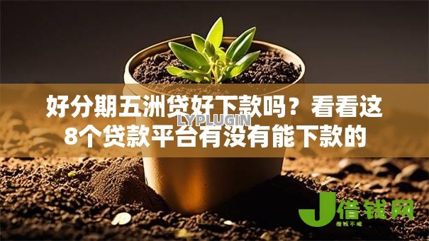 好分期五洲贷好下款吗?看看这8个贷款平台有没有能下款的 好分期五洲贷好下款吗?看看这8个贷款平台有没有能下款的