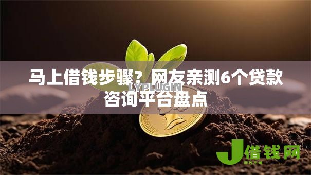 马上借钱步骤？网友亲测6个贷款咨询平台盘点