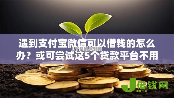 遇到支付宝微信可以借钱的怎么办?或可尝试这5个贷款平台不用人脸识别 遇到支付宝微信可以借钱的怎么办?或可尝试这5个贷款平台不用人脸识别