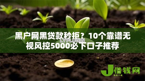 黑户网黑贷款秒拒？10个靠谱无视风控5000必下口子推荐