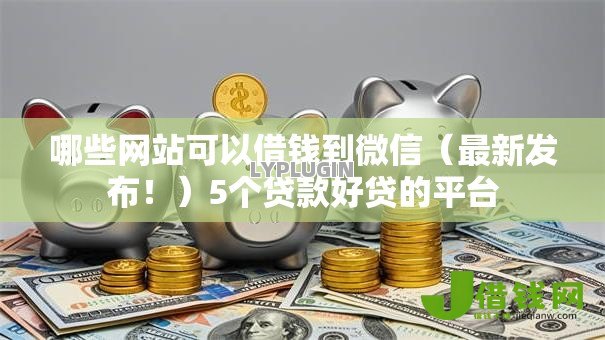 哪些网站可以借钱到微信（最新发布！）5个贷款好贷的平台