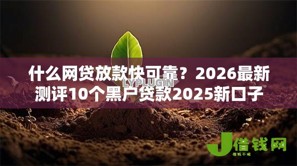 什么网贷放款快可靠？2026最新测评10个黑户贷款2025新口子