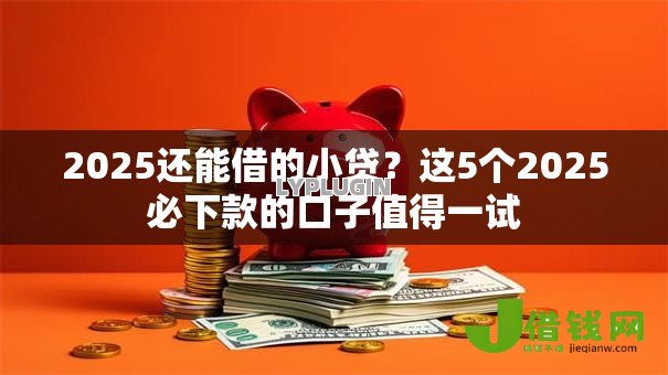 2025还能借的小贷？这5个2025必下款的口子值得一试