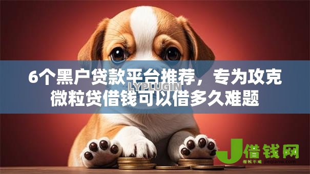 6个黑户贷款平台推荐，专为攻克微粒贷借钱可以借多久难题