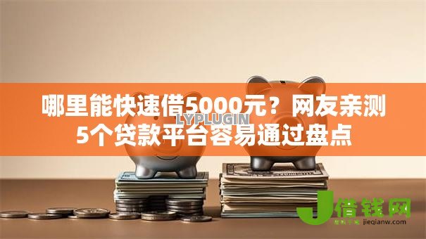 哪里能快速借5000元？网友亲测5个贷款平台容易通过盘点