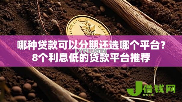 哪种贷款可以分期还选哪个平台?8个利息低的贷款平台推荐 哪种贷款可以分期还选哪个平台?8个利息低的贷款平台推荐