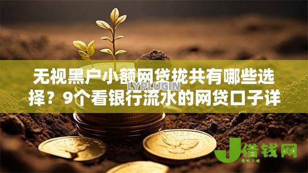 无视黑户小额网贷拢共有哪些选择?9个看银行流水的网贷口子详解 无视黑户小额网贷拢共有哪些选择?9个看银行流水的网贷口子详解