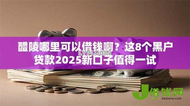 醴陵哪里可以借钱啊?这8个黑户贷款2025新口子值得一试 醴陵哪里可以借钱啊?这8个黑户贷款2025新口子值得一试