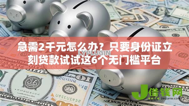 急需2千元怎么办？只要身份证立刻贷款试试这6个无门槛平台