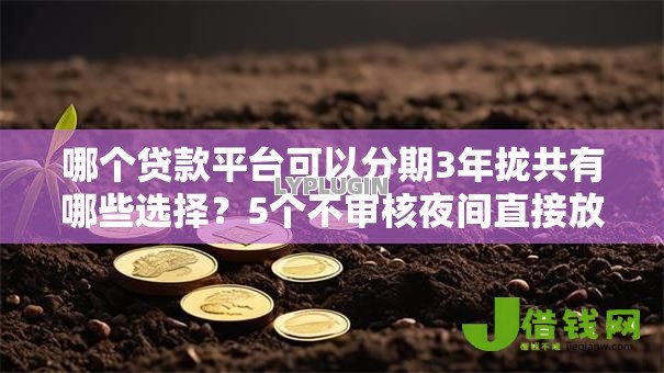 哪个贷款平台可以分期3年拢共有哪些选择?5个不审核夜间直接放款的网贷软件详解 哪个贷款平台可以分期3年拢共有哪些选择?5个不审核夜间直接放款的网贷软件详解