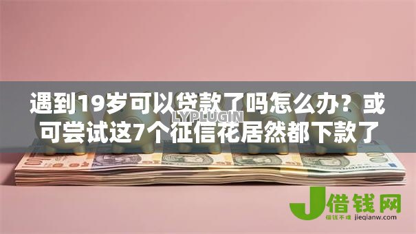 遇到19岁可以贷款了吗怎么办？或可尝试这7个征信花居然都下款了的平台
