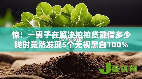 惊!一男子在解决拍拍贷能借多少钱时竟然发现5个无视黑白100%秒下网贷软件,事后分享了出来 惊!一男子在解决拍拍贷能借多少钱时竟然发现5个无视黑白100%秒下网贷软件,事后分享了出来
